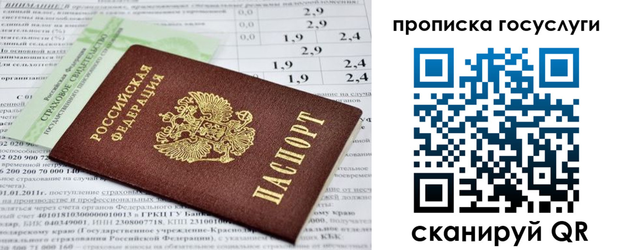 прописка паспорт в Зверево